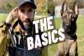 EASY OBEDIENCE TRAINING WITH MY