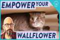 Help Your Shy and Scared Cat Gain