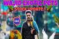Wajid Exotic Stock Update| Exotis