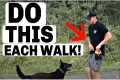 Do These 5 Dog Training Exercises