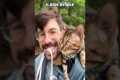 10 Tricks You Can Teach Your Cat
