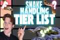 The BEST PET SNAKE for HANDLING!