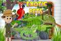 Types of Exotic Pets | Pet for kids | 
