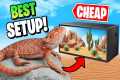 Best Bearded Dragon Setup on a Budget!
