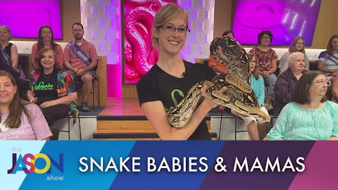 How many snakes can Jason hold? It's a baby snake invasion