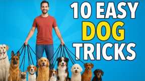 Dog Tricks ANYONE Can Teach at Home 🐶✨ | Dog Training Guide