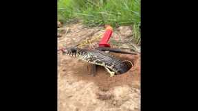 What do you think will happen to the snake and the trap? #snake