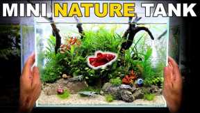 Making A Mini Betta Fish Nature Aquarium (Low Tech Aquascape Tutorial)