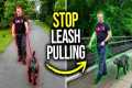 How to STOP Leash Pulling in MINUTES