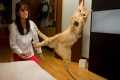 Cats Being Comedy Who Deserve an