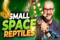 The 5 BEST Reptiles For Apartments,