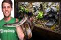 15 Year Old Snake Needed a New Home - 
