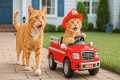 Mama Cat Helps Ginger Kitten Train as 