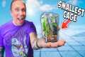 I Bought The Smallest Reptile Cage On 