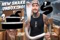 Unboxing NEW SNAKES from the Daytona