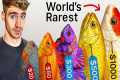 Inside Asia's *RICHEST* Exotic Pet
