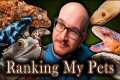 My Worst Pets? Ranking All My Pets |
