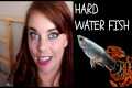 TOP 5 EASY FISH THAT ARE PERFECT FOR