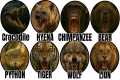 World’s most DANGEROUS Pets Explained 