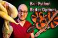 DO NOT Get A Ball Python! These
