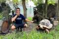 NEW Tortoises For Our MASSIVE AVIARY!