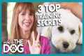 Victoria Stilwell Reveals 3 Secret