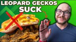 DO NOT Get a Leopard Gecko! Get This Lizard Instead!
