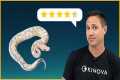 Rating YOUR Snakes: This POWERHOUSE