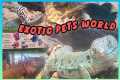 Exotic Pets World at Hopewell Mall