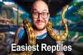 The 5 EASIEST Reptiles You Don't Know 