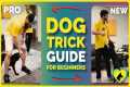 Dog Trick Tutorial for First-Timers | 