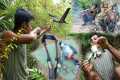 Powerful Hunting Bird slingshot