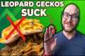 DO NOT Get a Leopard Gecko! Get This