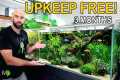 as LITTLE MAINTENANCE as POSSSIBLE! - 