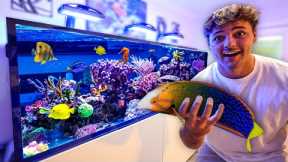 Finally BUYING FISH for My 300G SALTWATER AQUARIUM!!