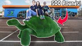 I Bought a 550 Pound Tortoise For My Reptile Zoo!