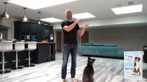 Teach your dog to focus on you