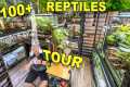 Reptile ROOM Tour March 2024!! Over