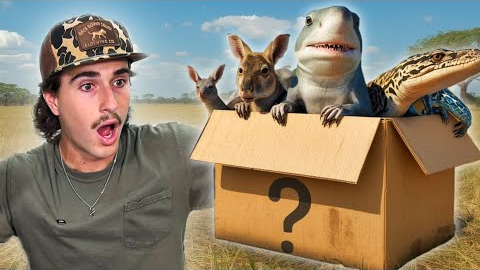Buying The Creepiest Live Animal Box Off The Web…