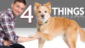 If Your Dog can Shake You Won't Believe What Else He can Do!