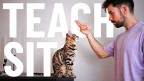 How to Teach Your Cat to SIT - for BEGINNERS - Easy Step-by-Step