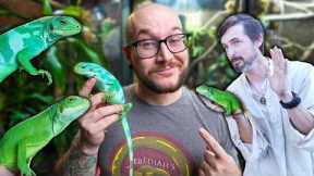 The Best Pet Reptile is Illegal, But I Have One Anyway!