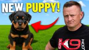 Secret ADVANTAGE Of Training Rottweiler!