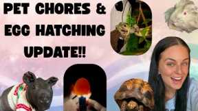 Lots Of Pet Chores & A BIG UPDATE!! 
