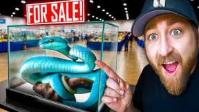 You Won't Believe What We Found At This Reptile Expo!