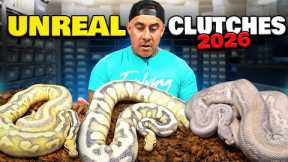 These Snakes Will Make Some Insane Babies