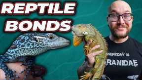 Top 5 Reptiles That Bond With Humans