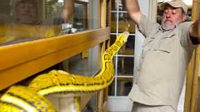 (SNAKE STRIKES ME) 🐍 EVERYTHING WENT WRONG😅