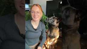 A quick Dog Training tip and something you can practice training with your dog! #dogowner