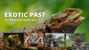 I Kept Exotic Pets in Singapore